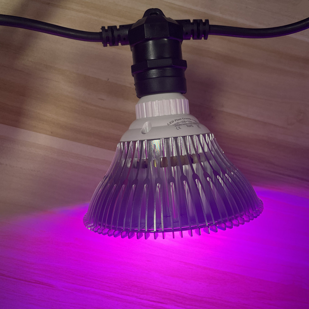 Guirlande lumineuse LED de 10M - Outdoor Lighting Effects avis et prix